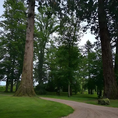 D'hote - Le לינה וארוחת בוקר 3*