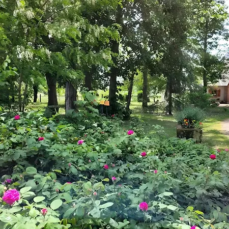 Bed & Breakfast D'hote - Le