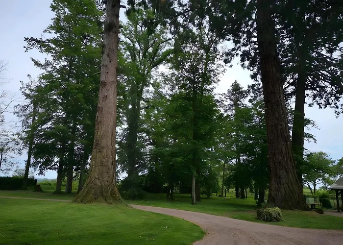 D'hote - Le Отель типа 