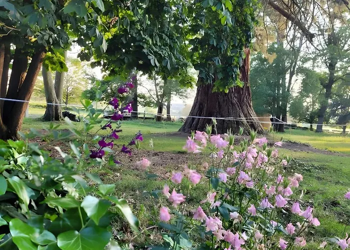 D'hote - Le Игранд