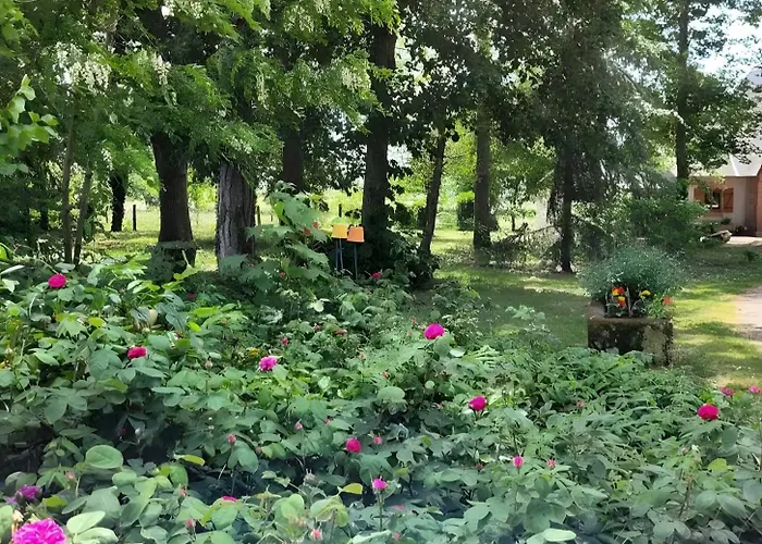 D'hote - Le Отель типа 